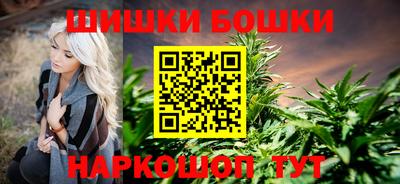 индика Мариинск