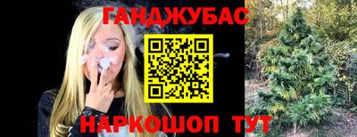 индика Мариинск