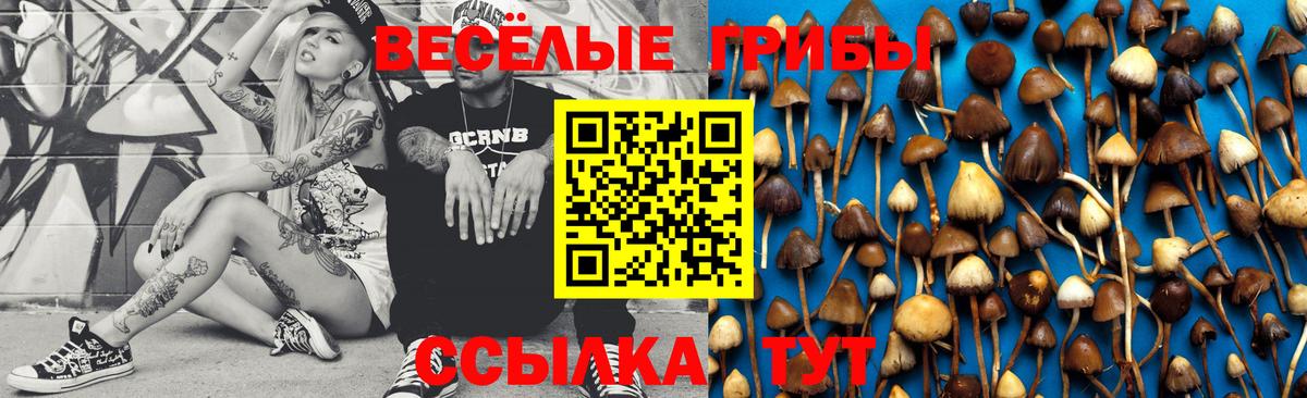 Псилоцибиновые грибы мухоморы  Вход с VPN  Узловая 
