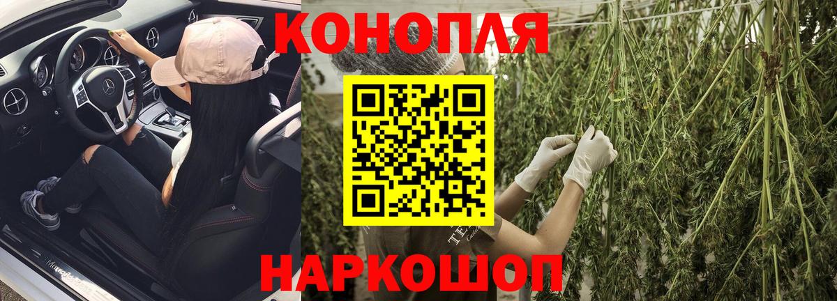 Бошки Шишки планчик  Каннабис тримм  МАРИХУАНА план  Вход с VPN  Узловая  Бошки марихуана White Widow 